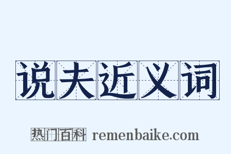 说夫近义词是什么意思的图片